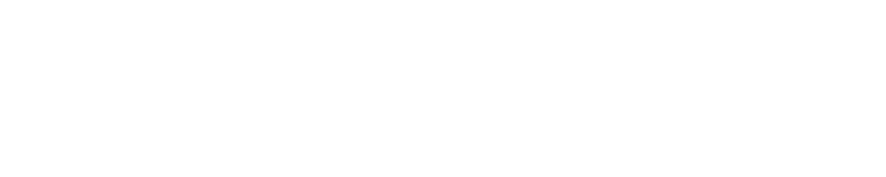 ConnectSmart Logo White